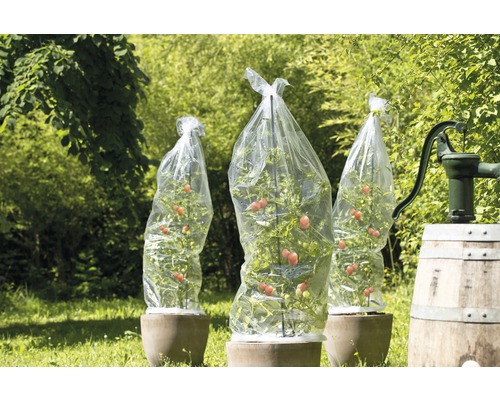 Tomatenfoliebuis FloraSelf 10x0,65 m transparant