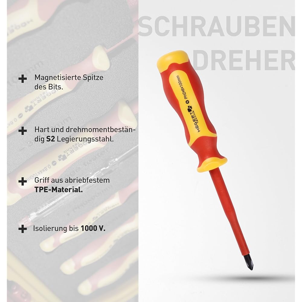Högert Technik - Kit d'outils isolés 1000 V, 12 pièces | Kit d'outils électriciens | Coffret en plastique pratique : Bricolage