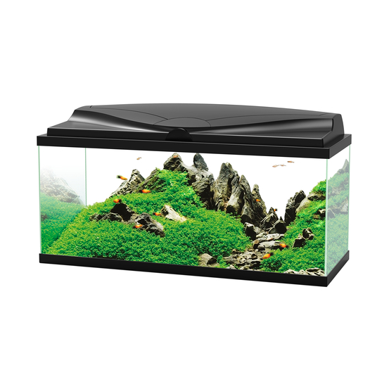 Aquarium Ciano, noir - 78 litres