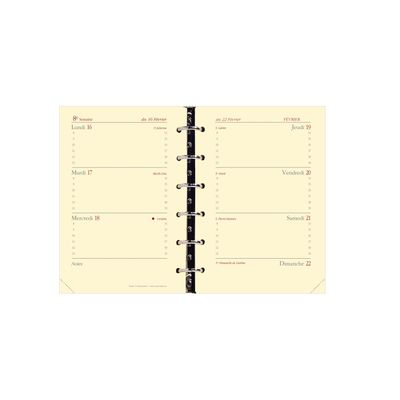 Recharge pour organiseur Timer 14 Horizontal - 1 semaine sur 2 pages - 8 x 12,5 cm - papier ivoire - Quo Vadis
