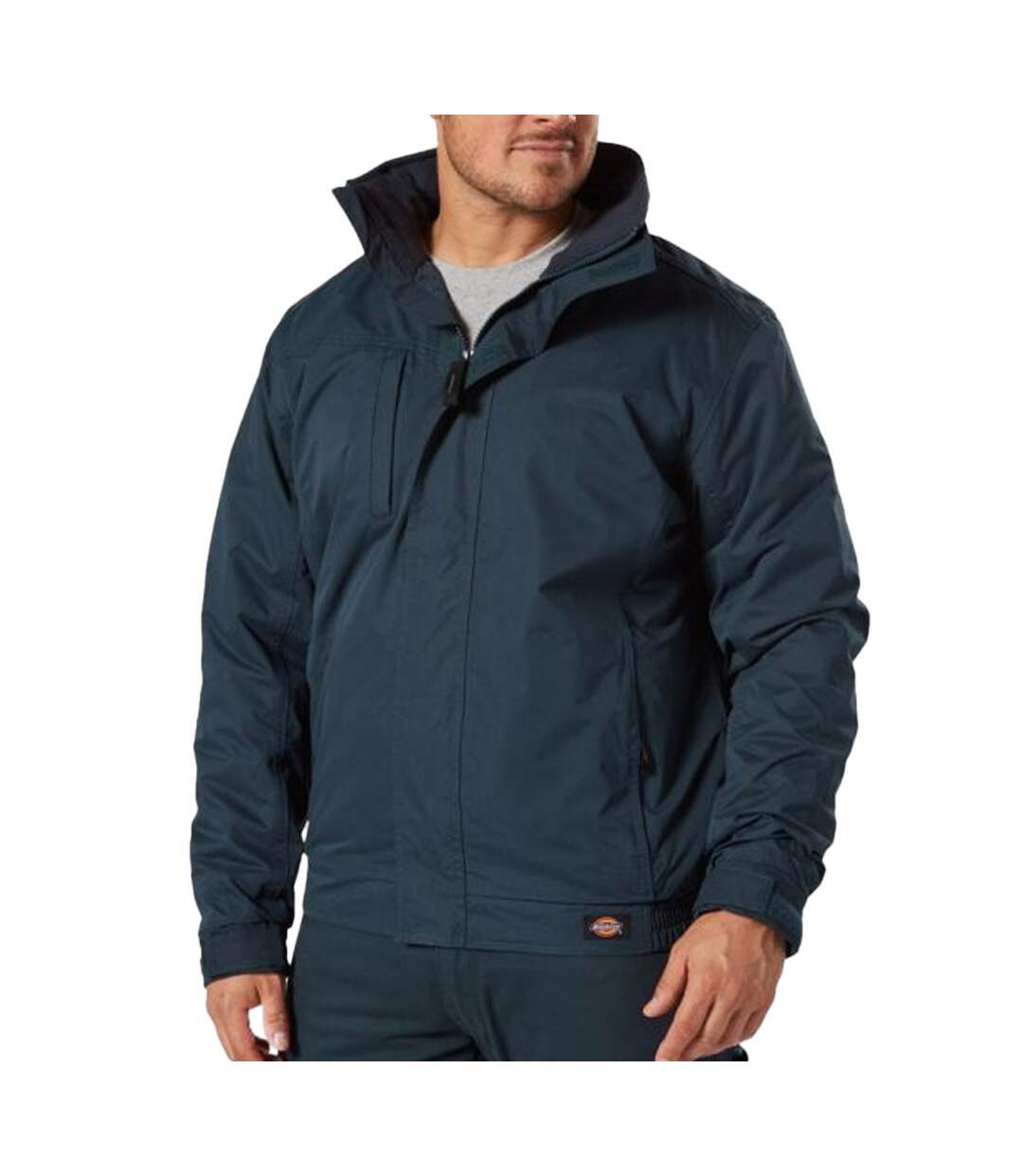Veste Marine Homme Dickies Everyday