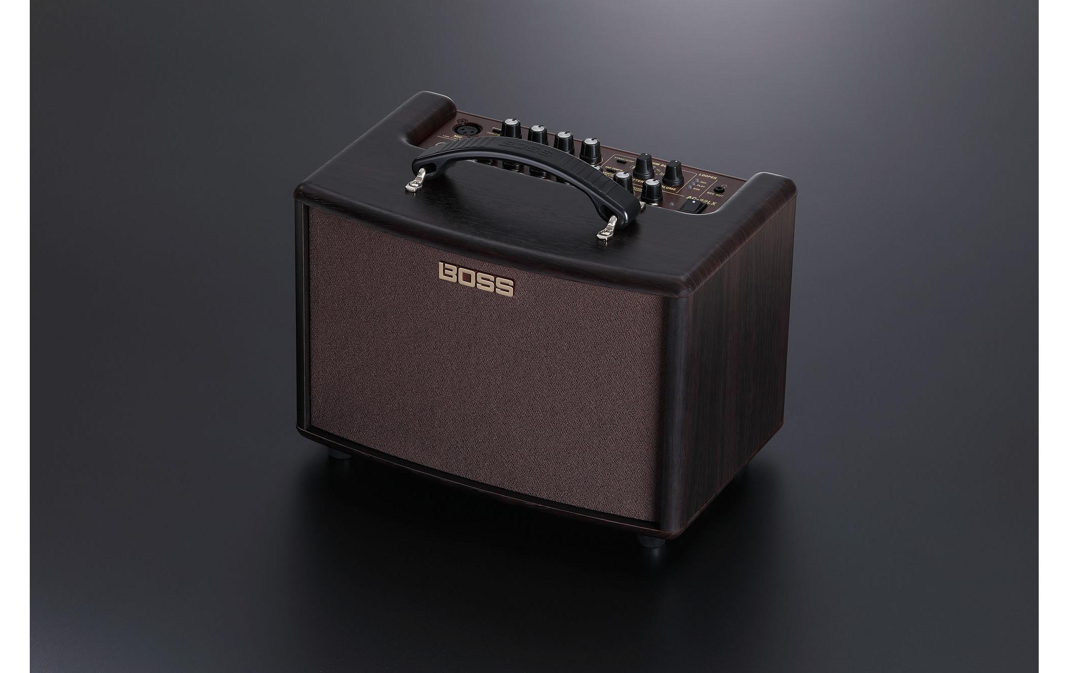 Combo AC-22LX<br>Immersives akustisches Erlebnis