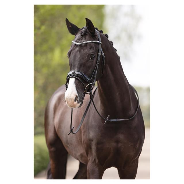 Hoofdstel ANKY Comfort Fit Double Anatomical Zwart