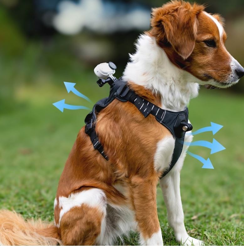 Insta360 - GO 3/GO 3S Pet Harness Mount Size S