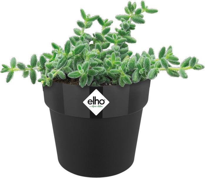 Elho bloempot B. for original zwart D 12,5 H 12 cm