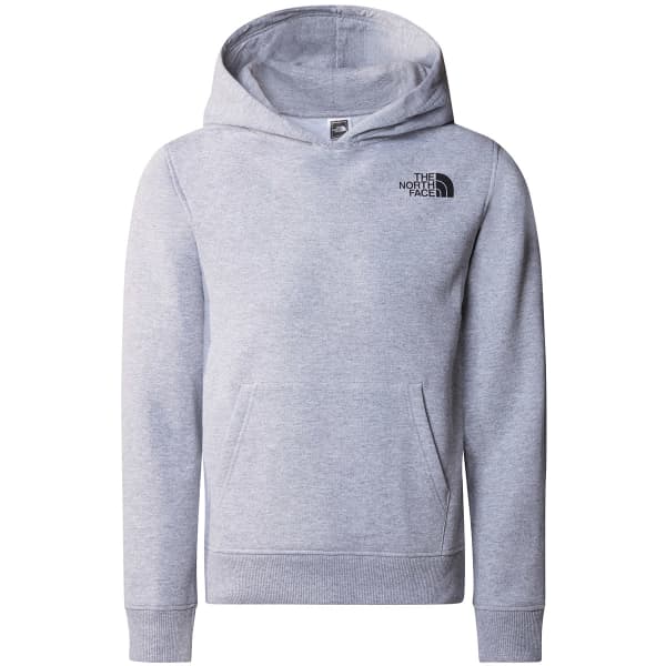 Sweatshirt THE NORTH FACE TEEN NEW GRAPHIC HOODIE TNF LIGHT GREY HEATHER
