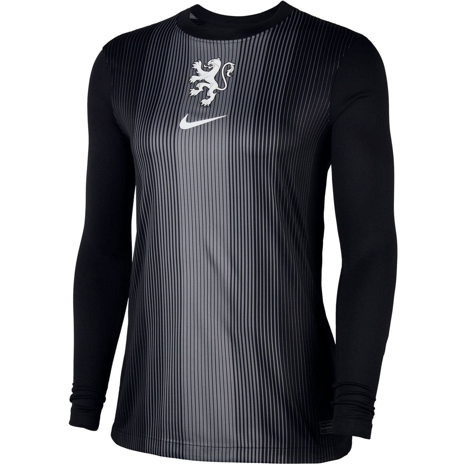 Nike Nederland Thuis Keepersshirt Leeuwinnen Dames