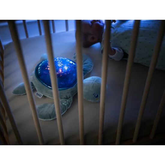 Projecteur Tortue Aqua Dream   Bleu        de               Pabobo