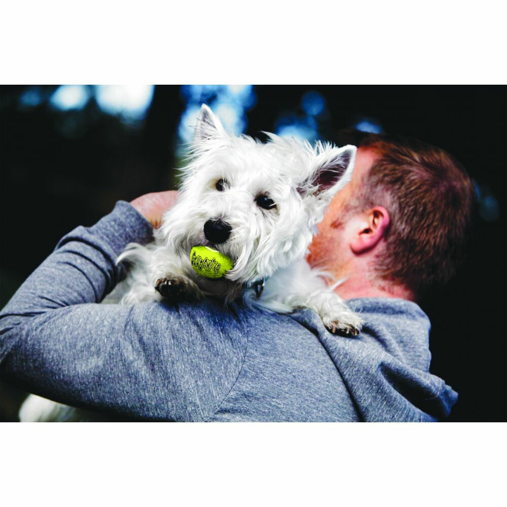 Kong Squeakair Tennisbal Multipack S3 stuks