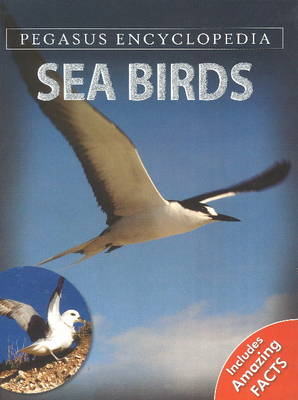 Sea Birds (Hardback)