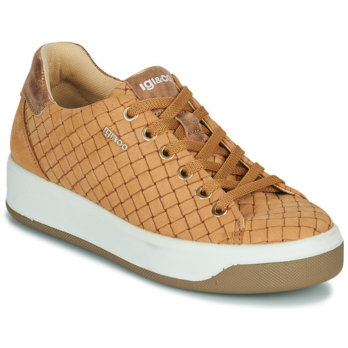 IgI&CO - 1659033 - Camel