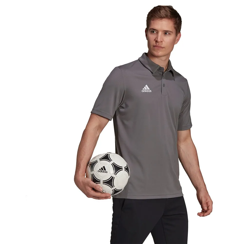Camisa polo de manga curta adidas Entrada 22