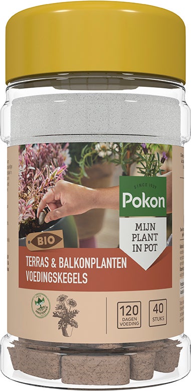 Pokon Bio Terras en Balkonplanten voeding Langwerkende kegels 40 stuks