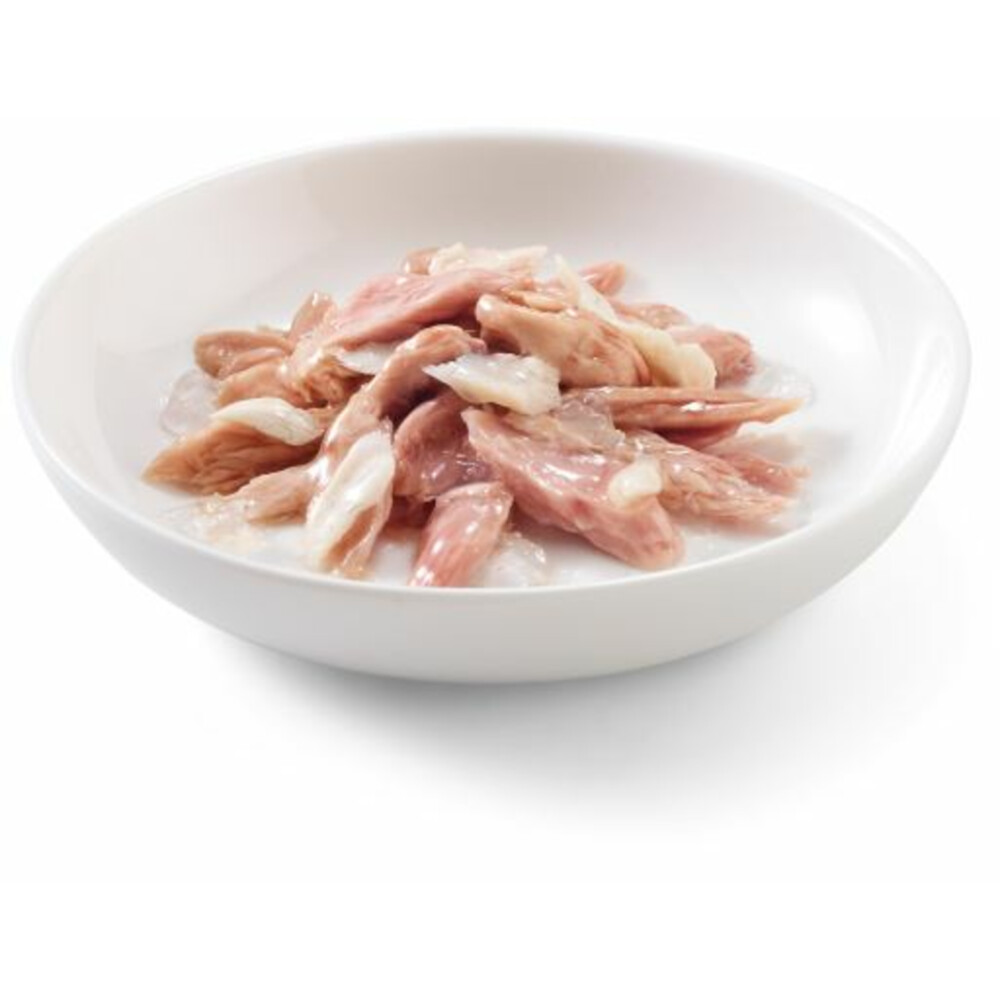 Schesir Kattenvoer Tonijn en Hake in Gelei85 gr