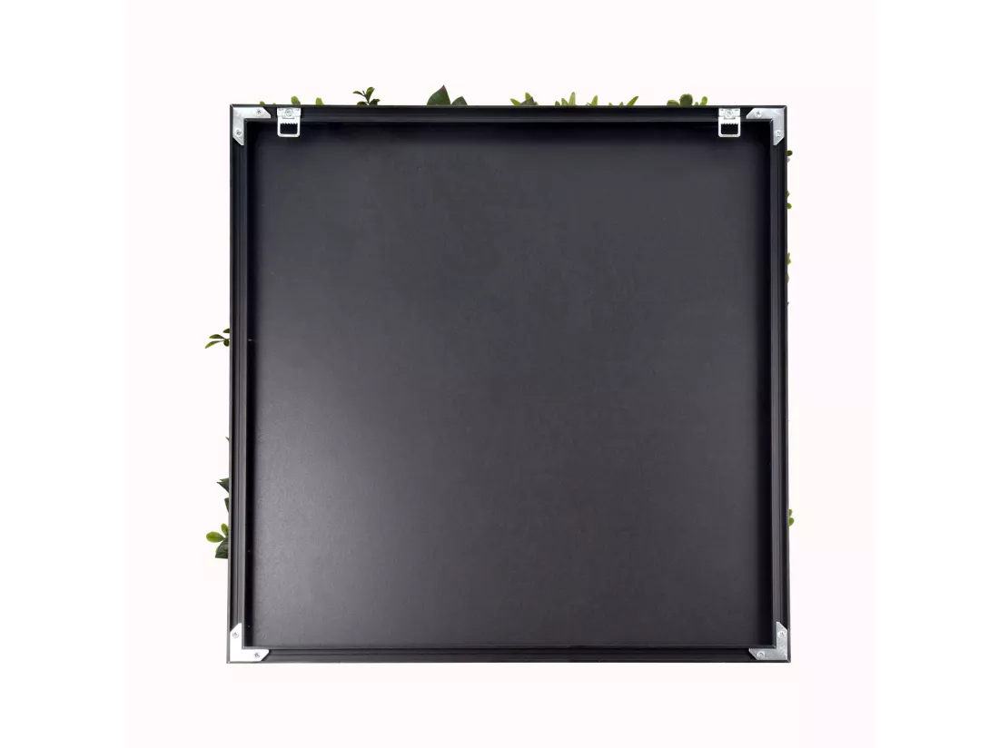 Liana - Tableau végétal avec cadre noir en PVC, 50x50 cm
