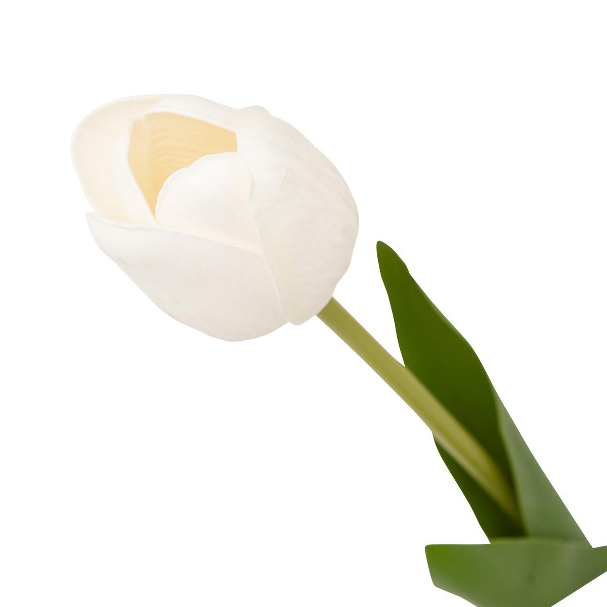 TIGE TULIPE MARTINE H.48CM