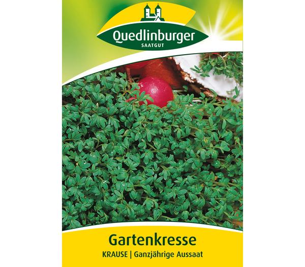Quedlinburger Samen Gartenkresse 'Krause'