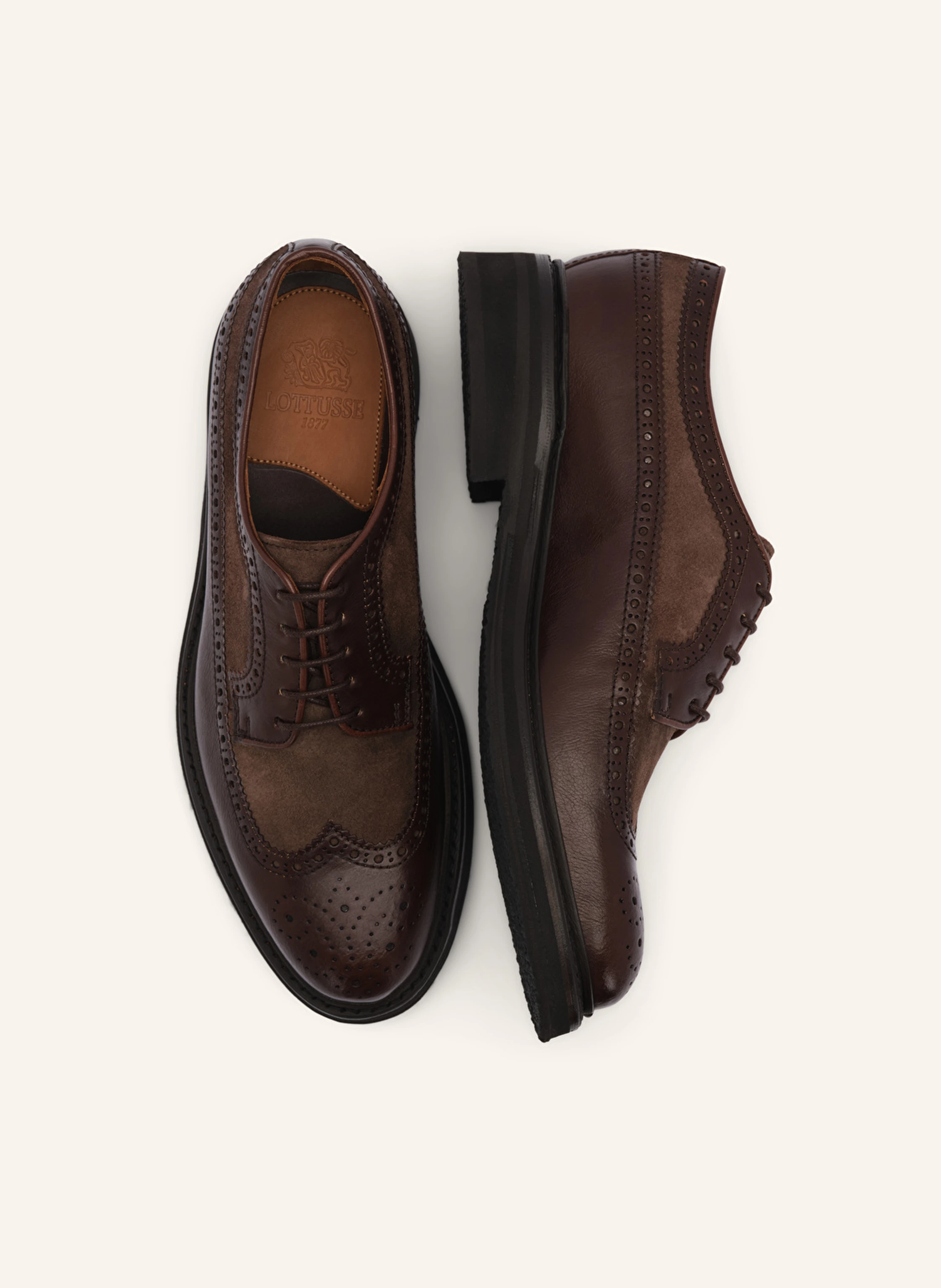LOTTUSSE Derby Brogue WALTON