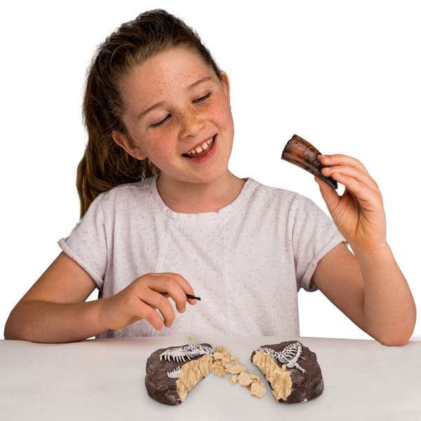 National Geographic Dinosaur Dig Kit