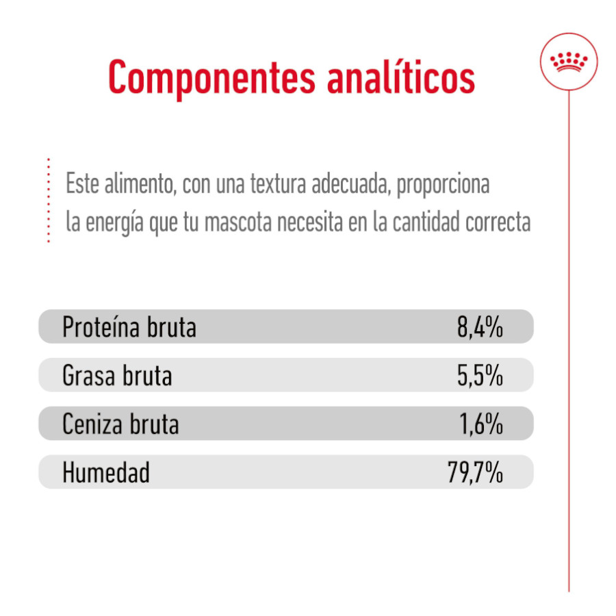Ração Royal Canin Medium 7+ para cães idosos