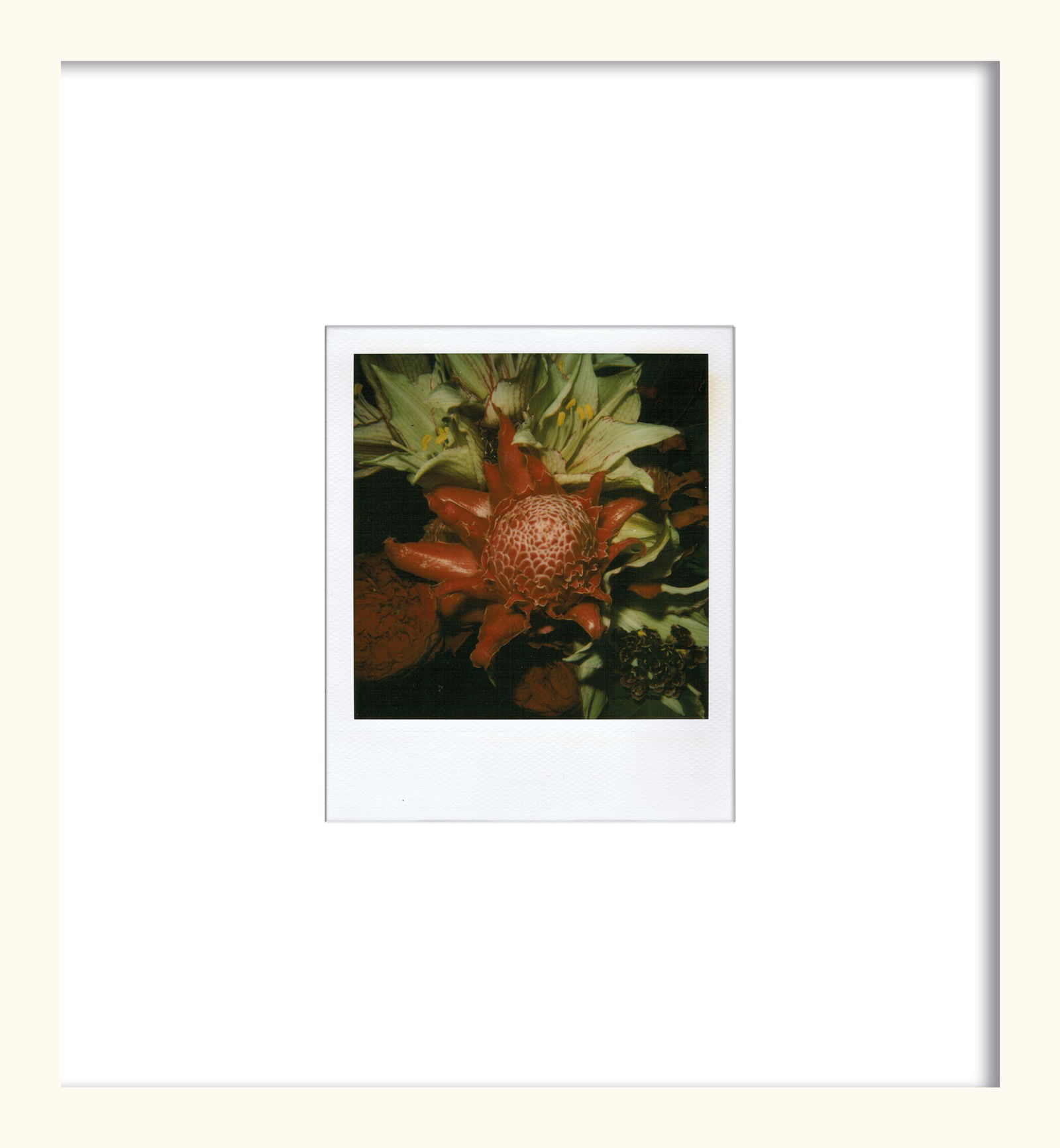 Flower by Nobuyoshi Araki - Unique Artwork