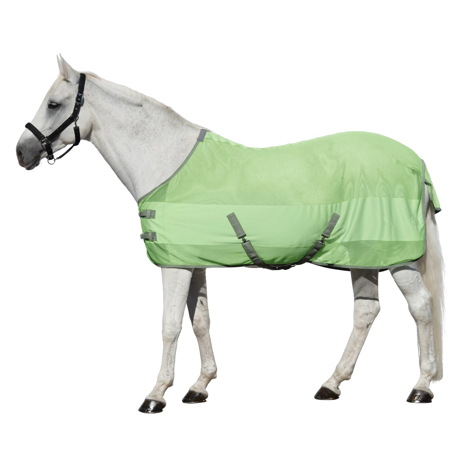 Horse-friends Fliegendecke Sintra  - lightgreen