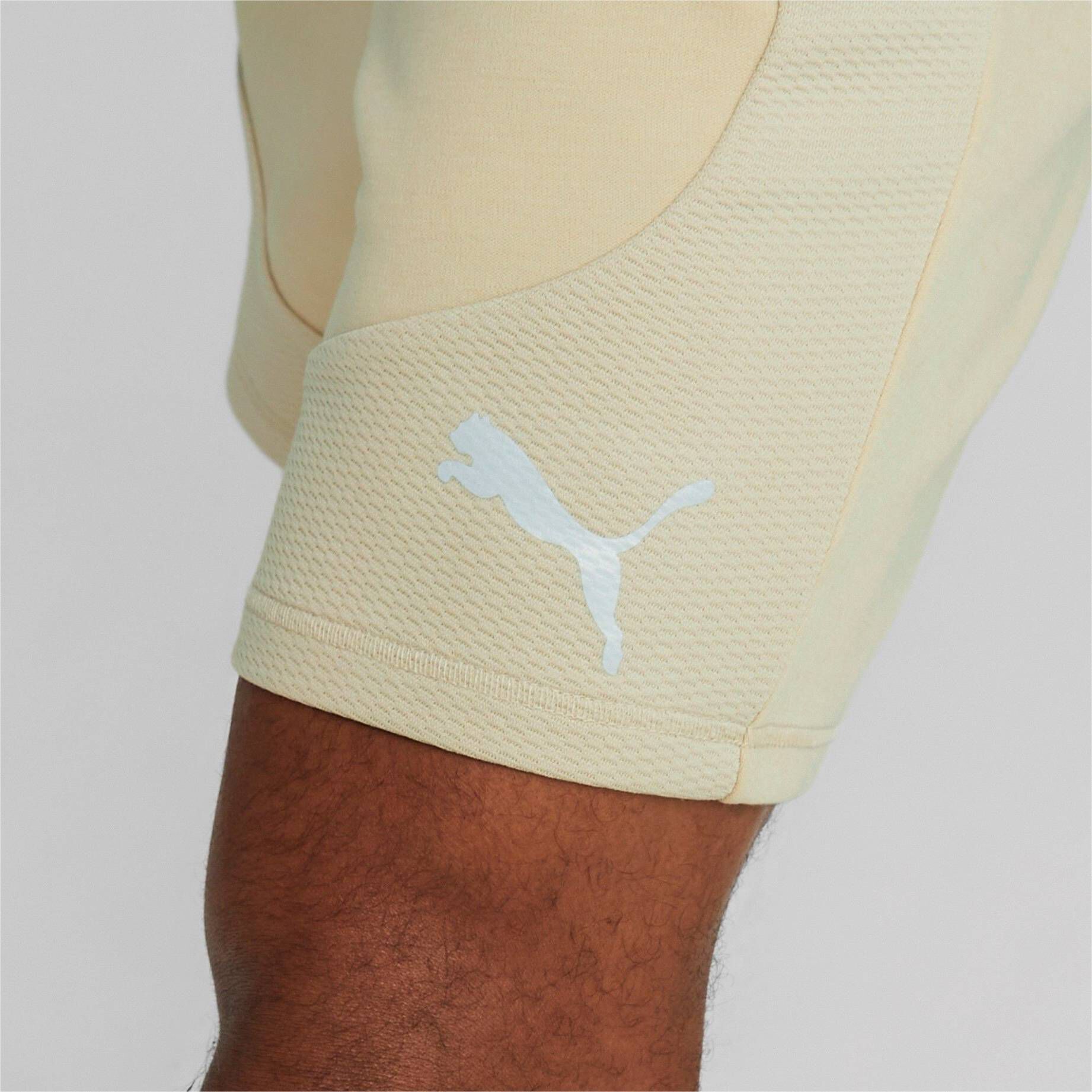 Puma| Herren Shorts EVOSTRIPE