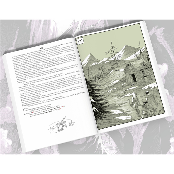 La Pierre du Dragon : Le Roman Illustré dont vous êtes le Héros