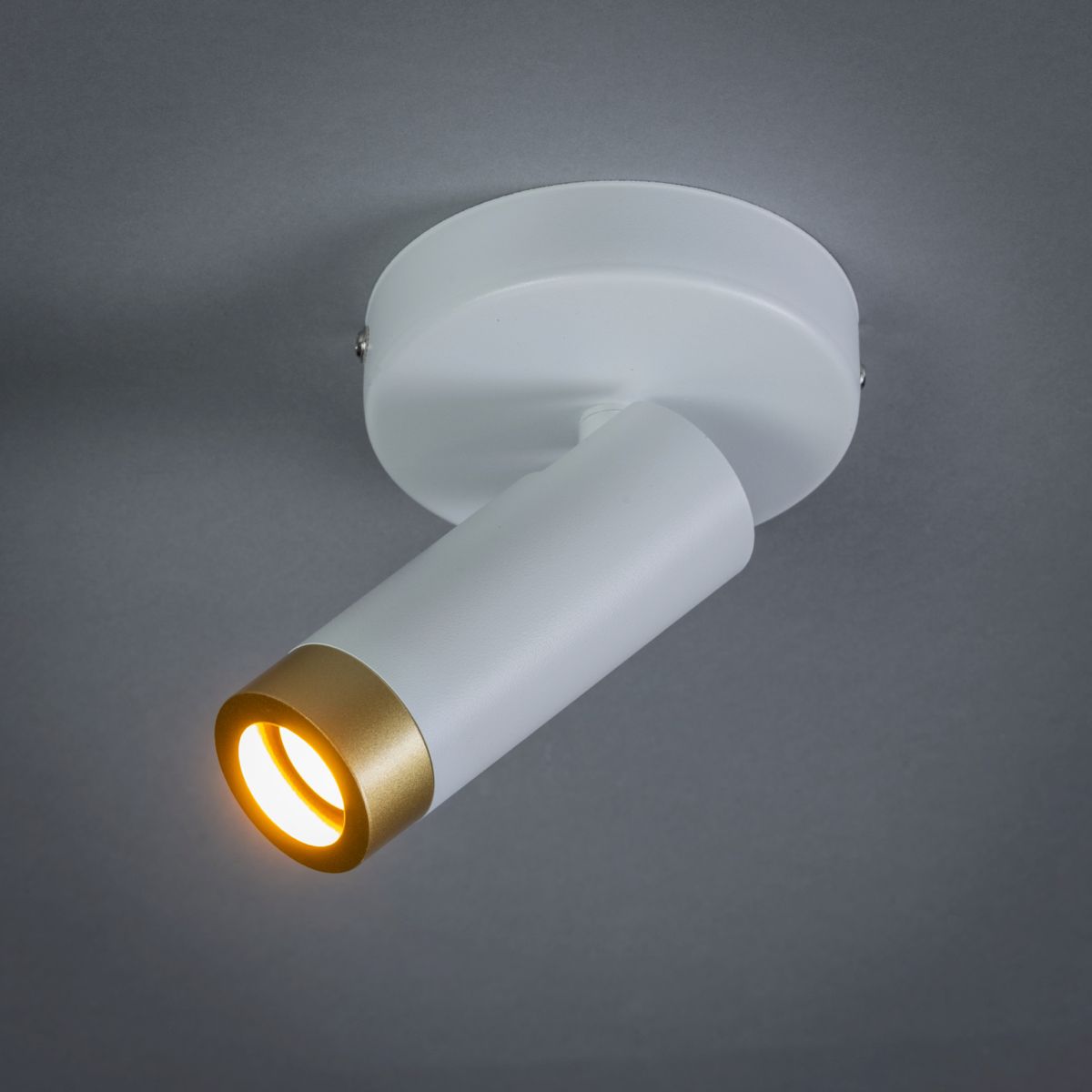 Plafondlamp 05-SP1360-31 Miller  | ETH⌀45  x H12 cm