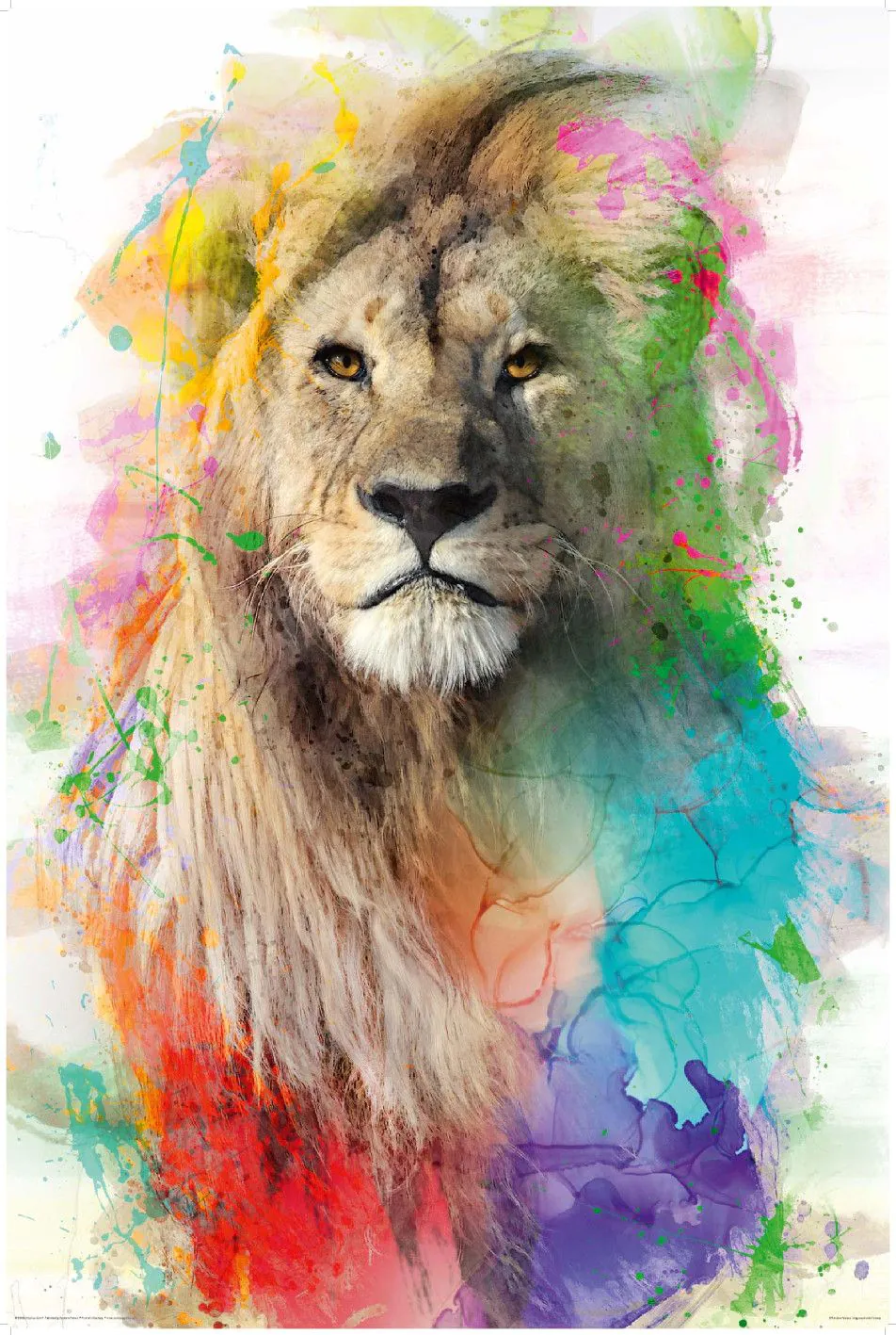 Poster Multicolor Lion, 61 x 91 cm