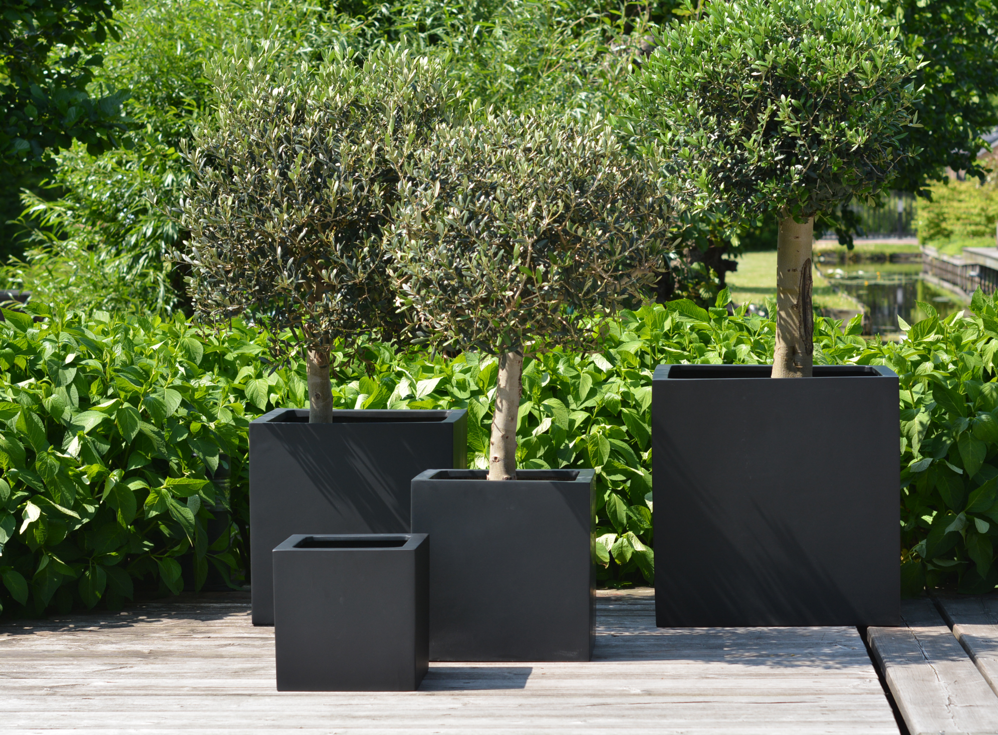 Plantenpot El Salvador black L50 x B50 x H50cm
