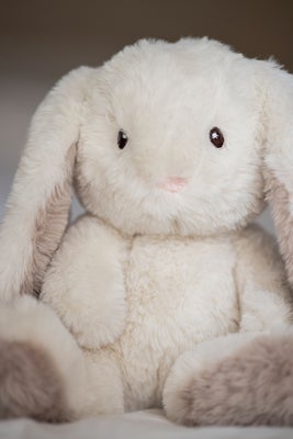 Teddykompaniet Kosedyr Mocca Kanin 34 cm, Creme