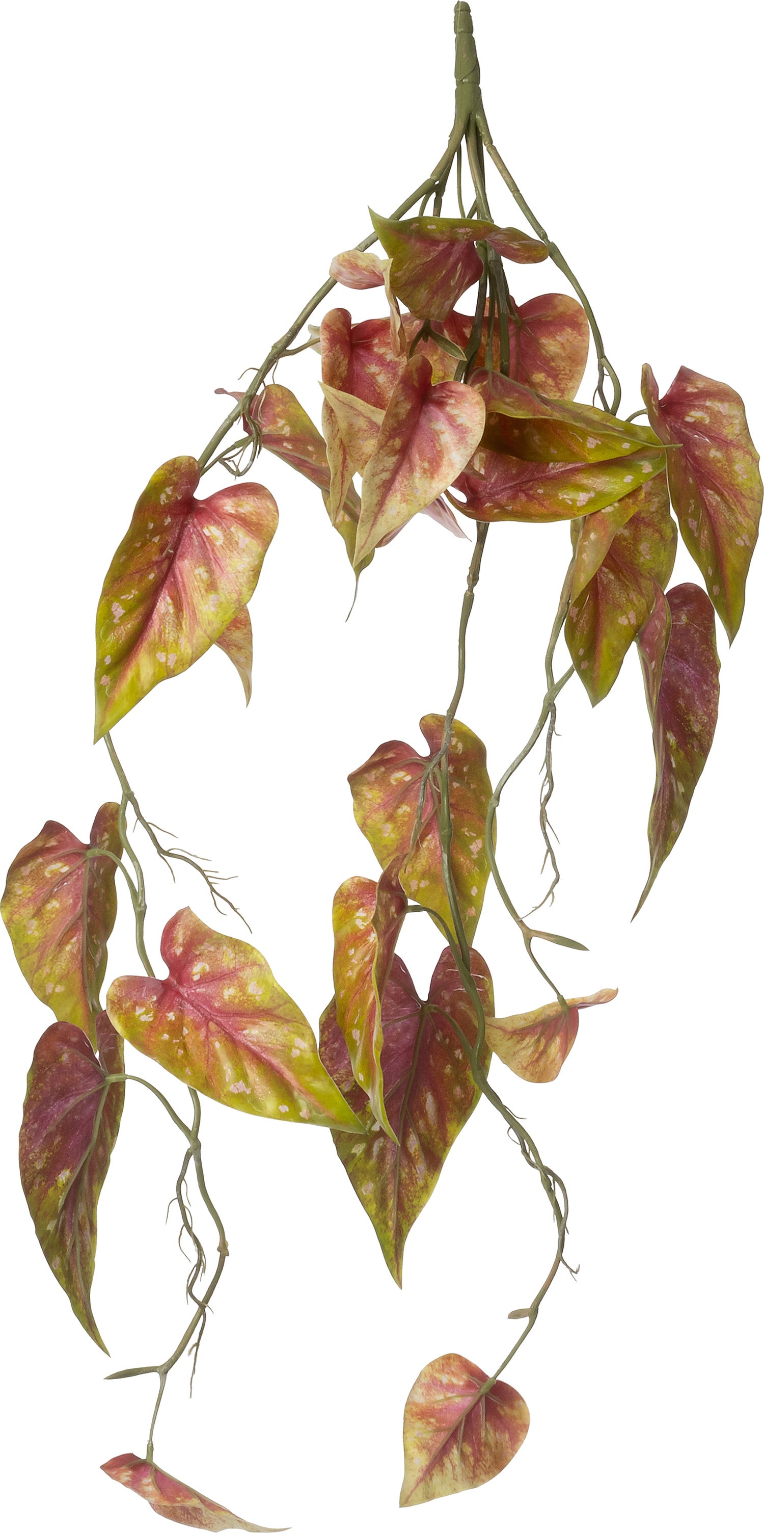 Intratuin kunsttak Caladium groen rood 91 cm