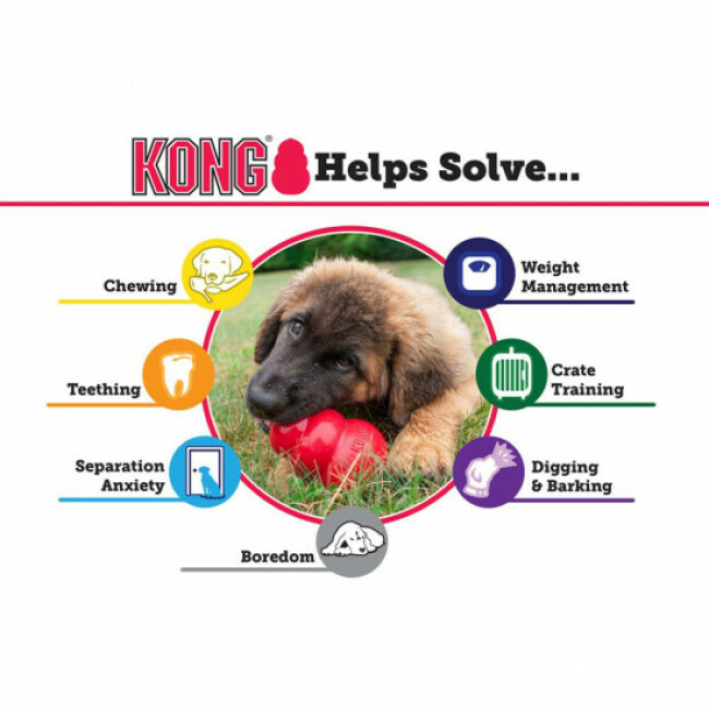 Jouet pour chiot à mâcher KONG Puppy