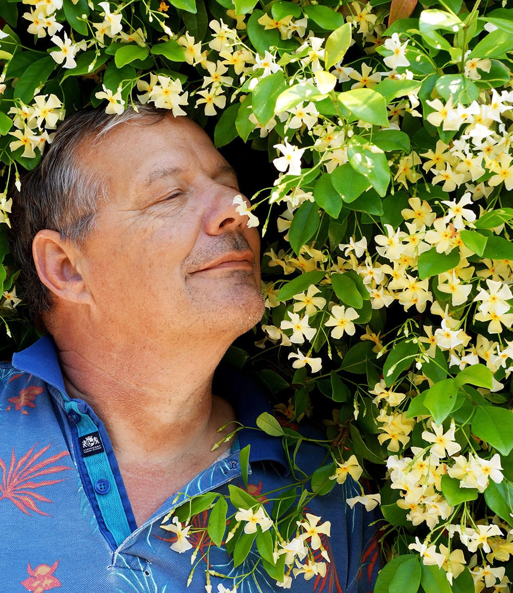 Winterharter Jasmin 'Star of Toscane®'