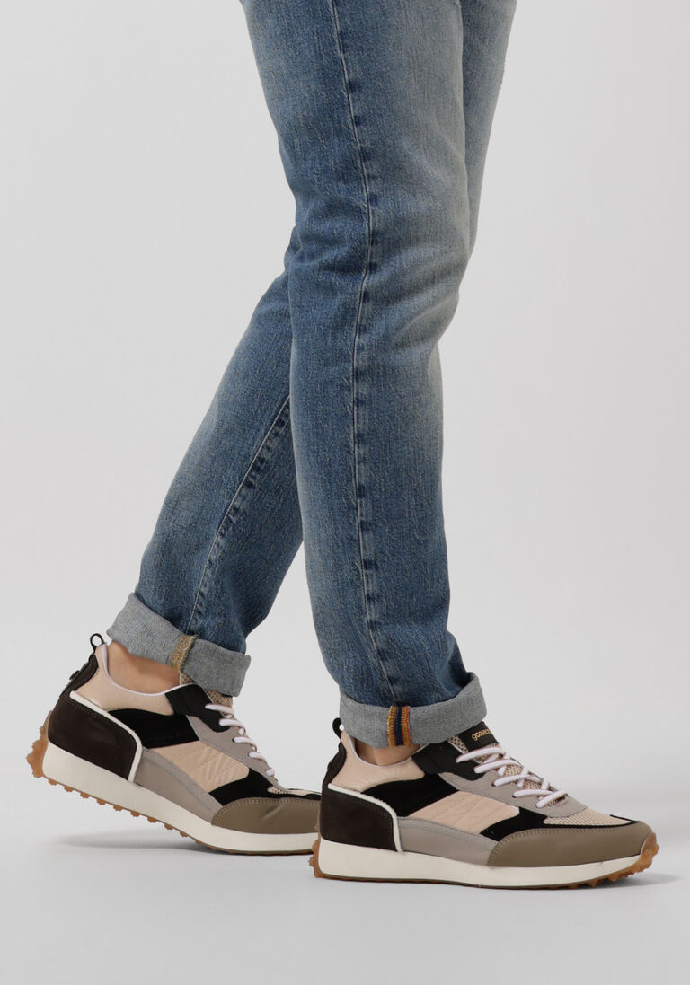 GOOSECRAFT multi goosecraft lage sneakers dane men
