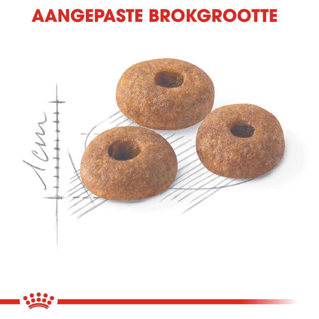Royal Canin Fit 32 - Kattenvoer - 10 Kilogram - Gevogelte