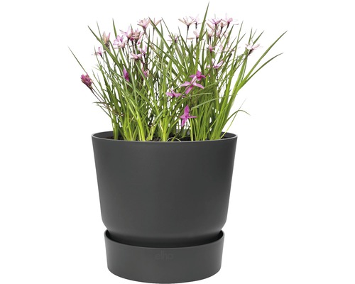 elho greenville plantenpot, kunststof, Ø 25 cm, H 23,3 cm, zwart