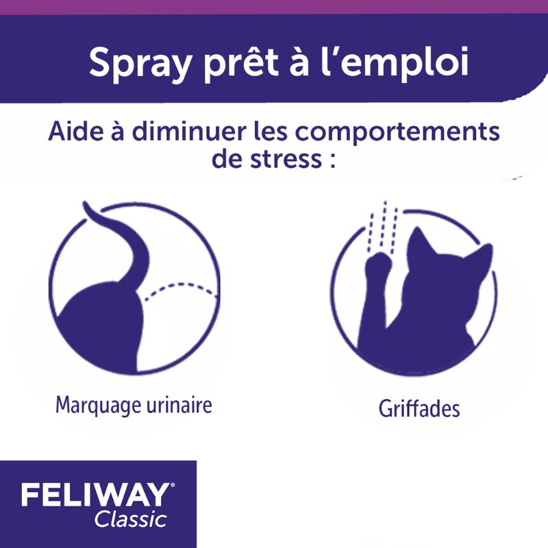 Spray Feliway