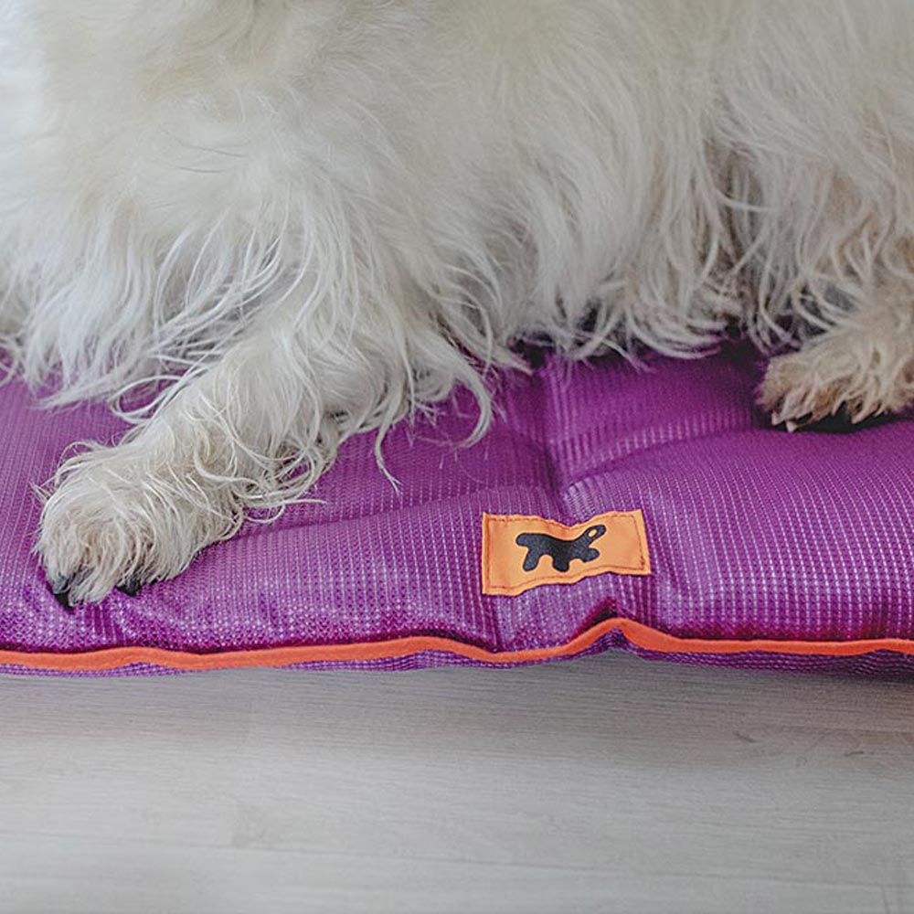 Ferplast panier pour chien chat - lit chien petit lavable - matelas chien - coussin chien chat - imperméable & anti-rayures -