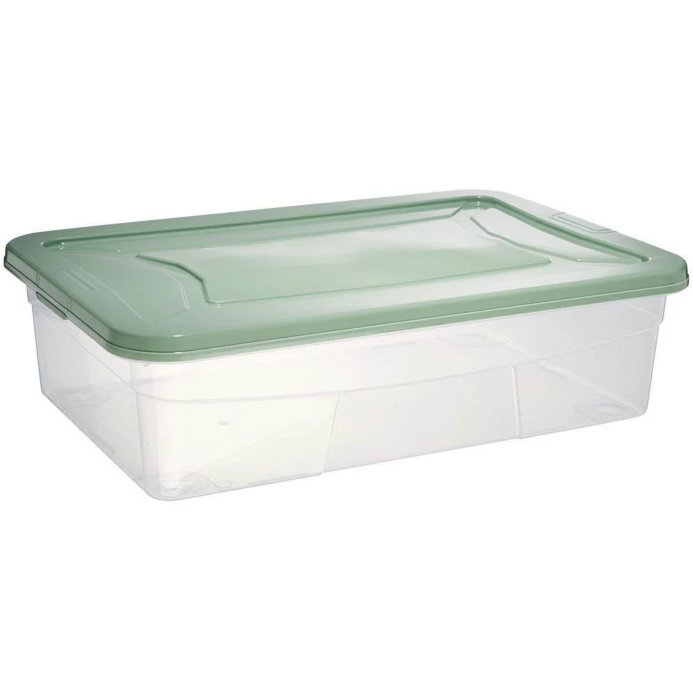 Box dessous de lit transparent et vert 30L