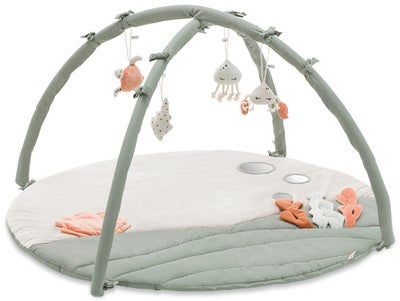 Hauck Relax N Watch Babygym, Water Animals