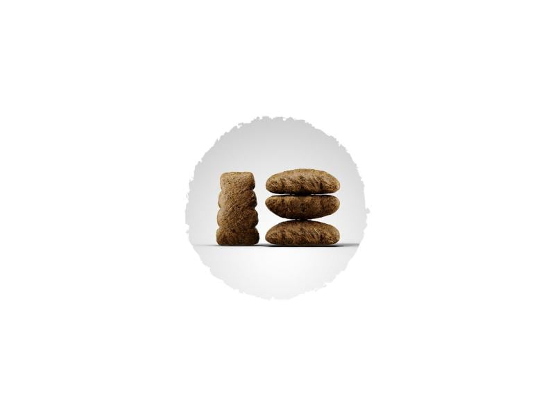 Josera Trockenfutter Special SensiPlus, 12.5 kg Alleinfuttermittel für ausgewachsene Hunde