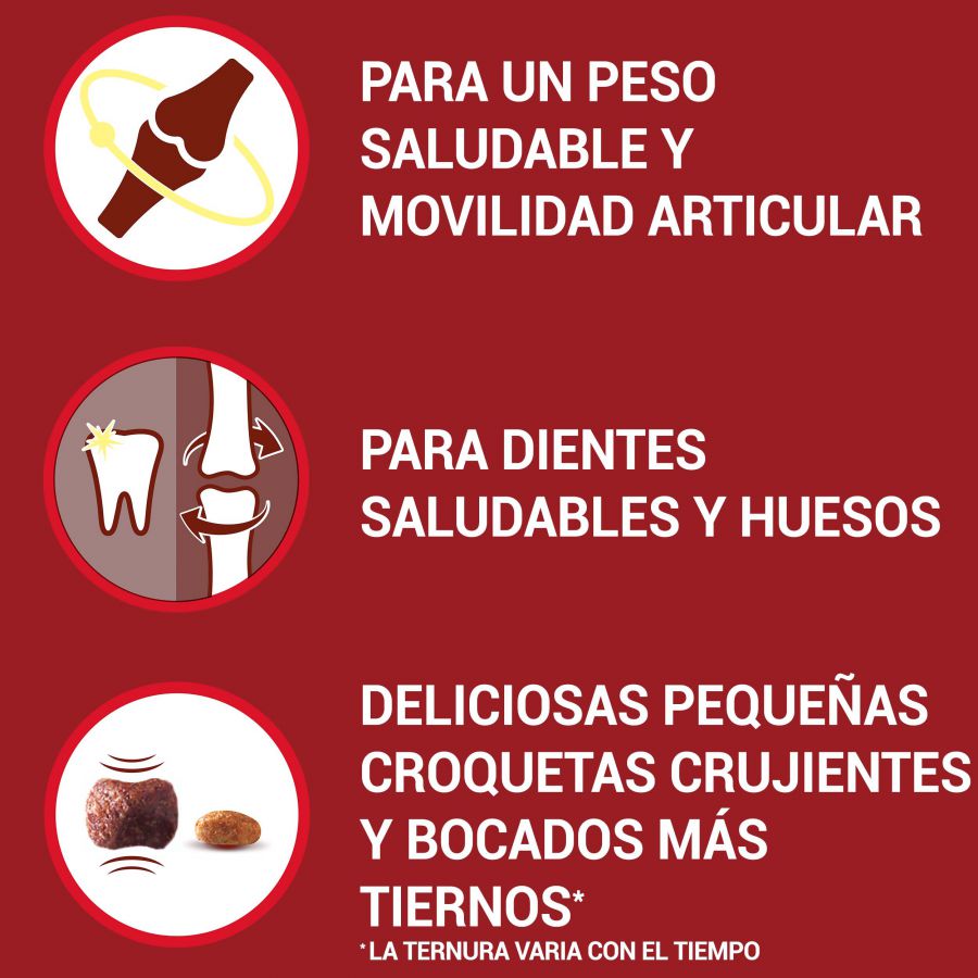Ração Purina One Senior 8+ para Cães Mini