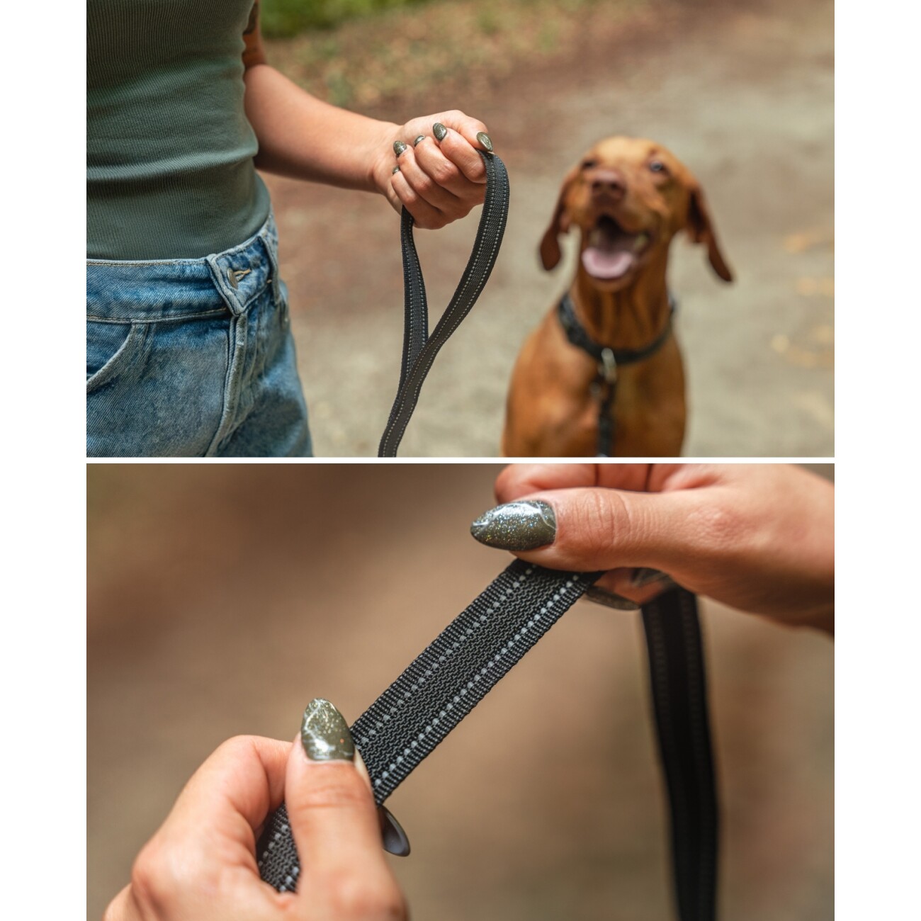 Lionto gummierte Führleine für Hunde, reflektierend