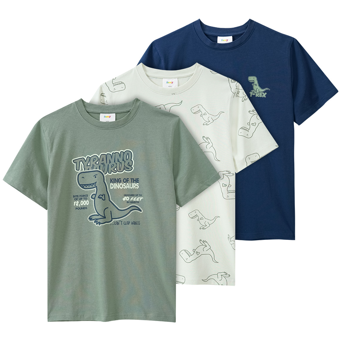 Famy 3 Jungen T-Shirts mit Dino-Prints salbei / hellgrün / blau
