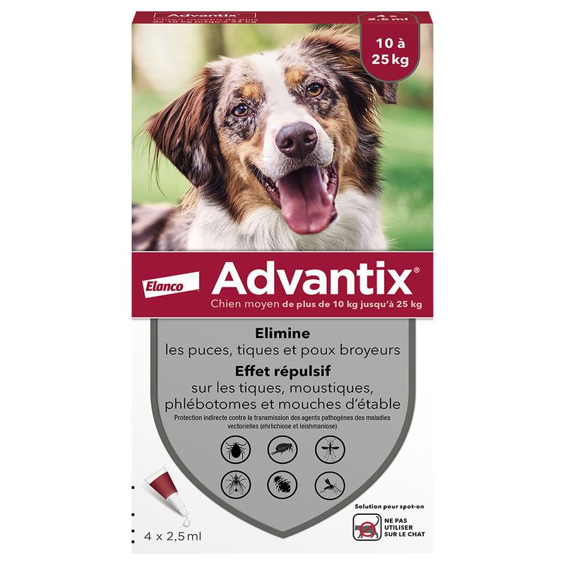 Advantix chien moyen, de 10 kg à 25 kg