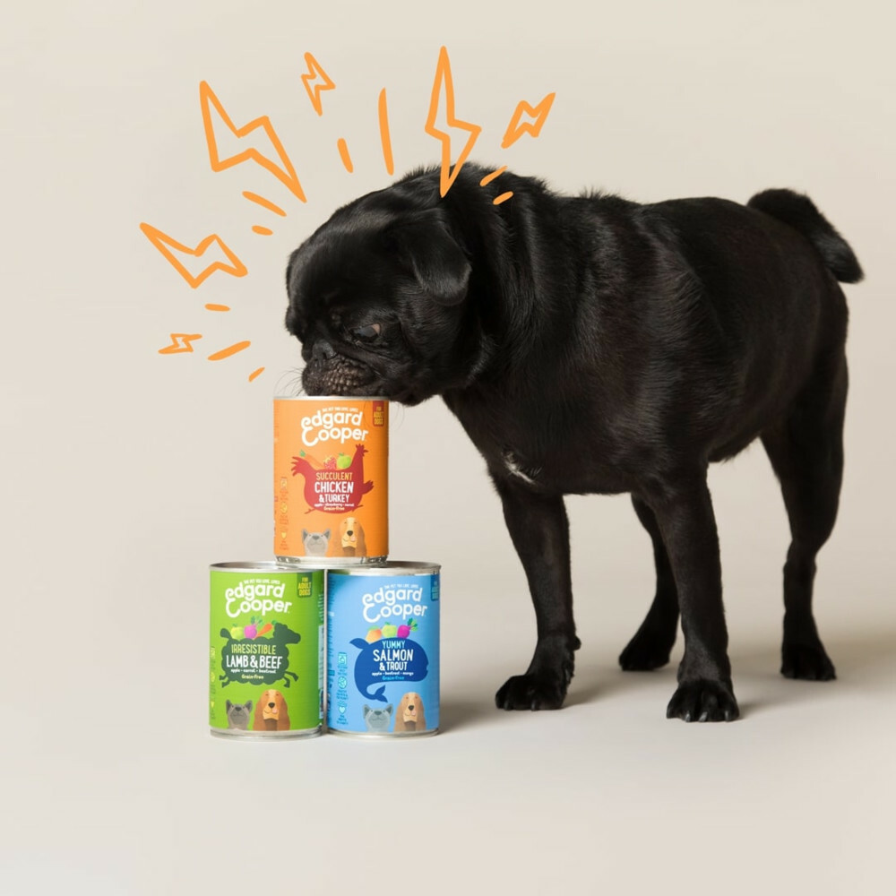 6x Edgard & Cooper Blik Vers Vlees Hondenvoer Kip - Kalkoen400 gr