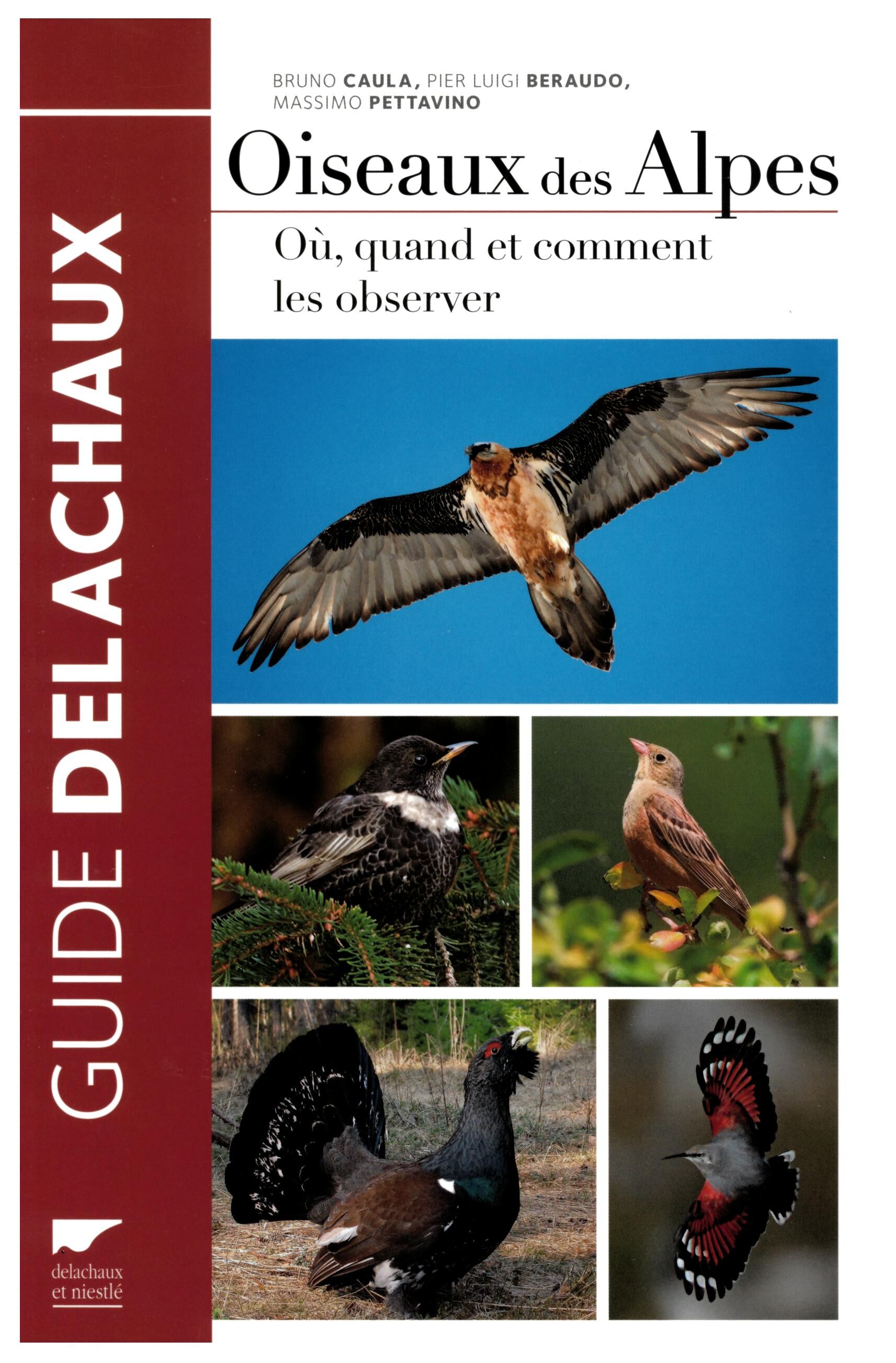 DELACHAUX  NIESTLE - OISEAUX DES ALPES