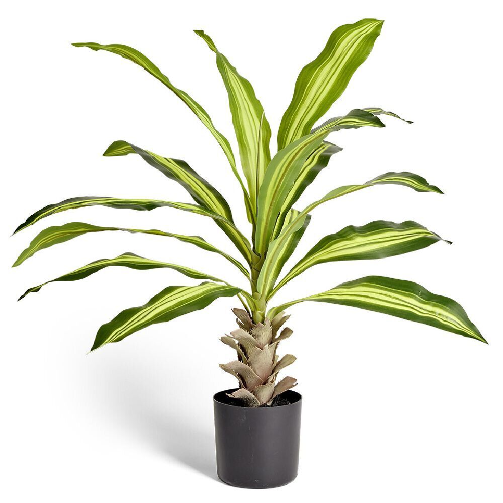 Plante artificielle Dracena dans pot ciment Ø50xH60cm
